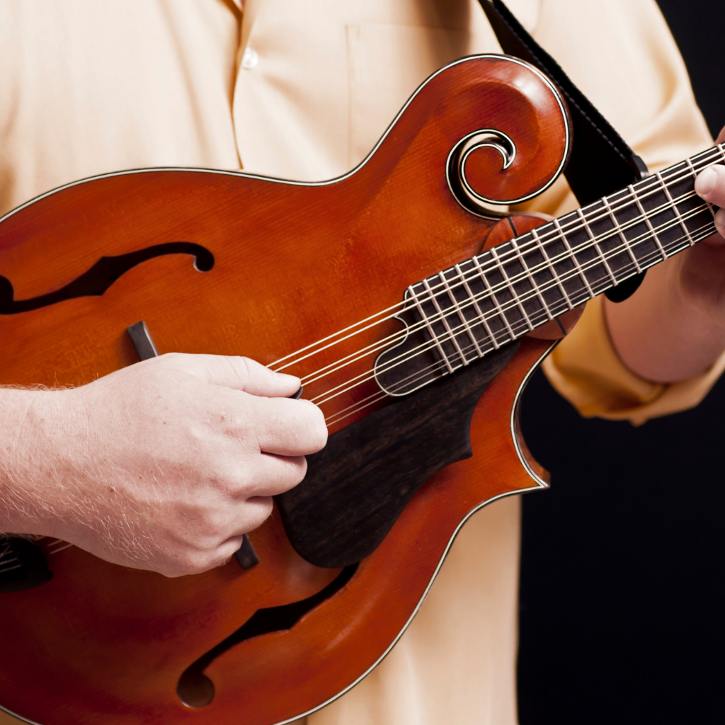 a violin-like guitar
