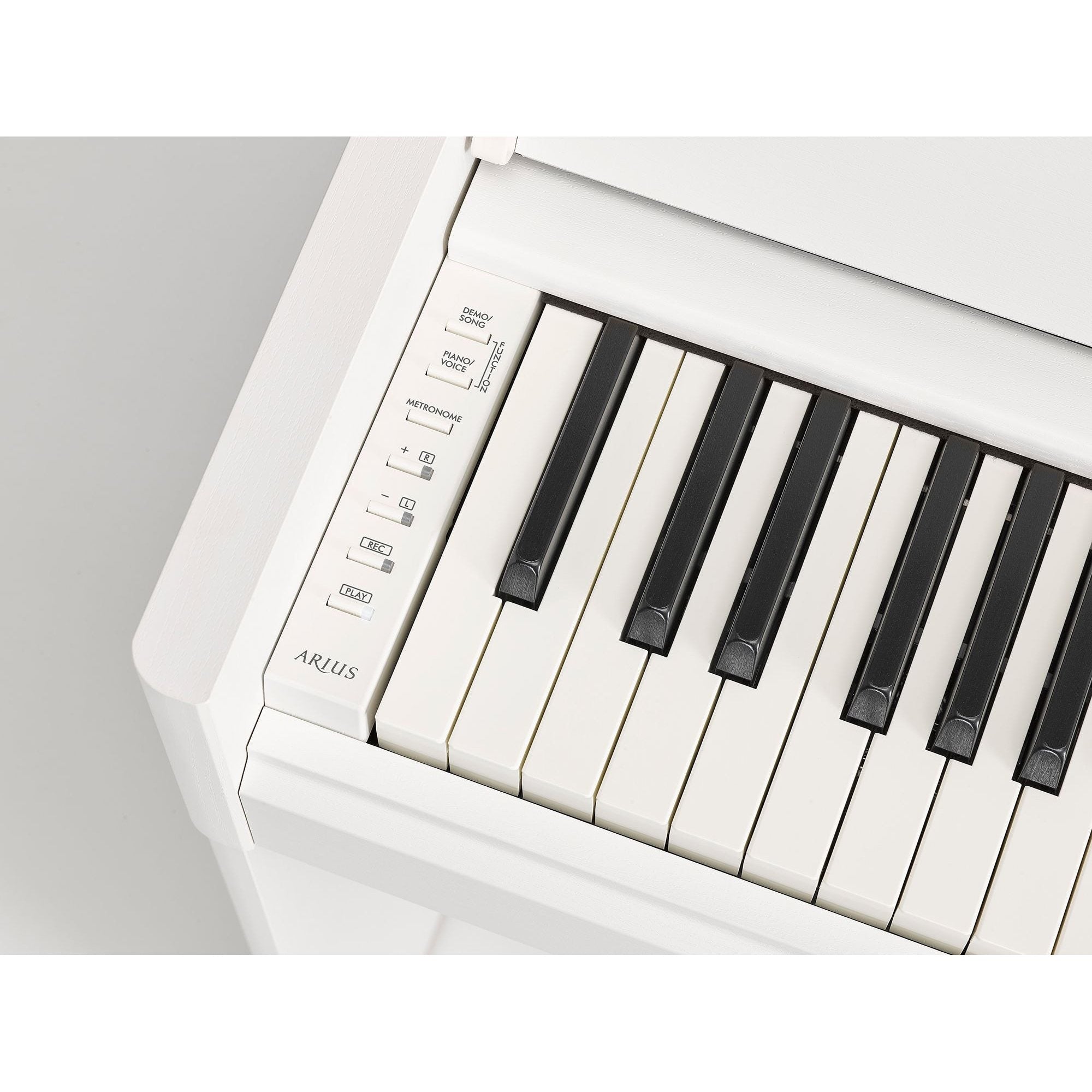 An image of a    YDP-S55 Yamaha Digital Piano Arius series by Yamaha